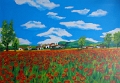 Mohn Wiese Acryl 40x50