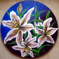Lilien rund 50 Acryl