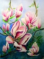 Magnolien 50x70