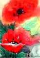 Mohn in Mischtechnik 50x70