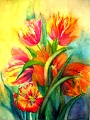 Tulpen einmal wild 50x70