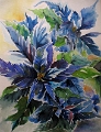 Weihnachsstern in Blau 50x70